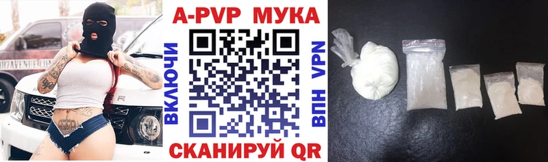 дарк нет официальный сайт  Гатчина  Альфа ПВП СК  магазин продажи  