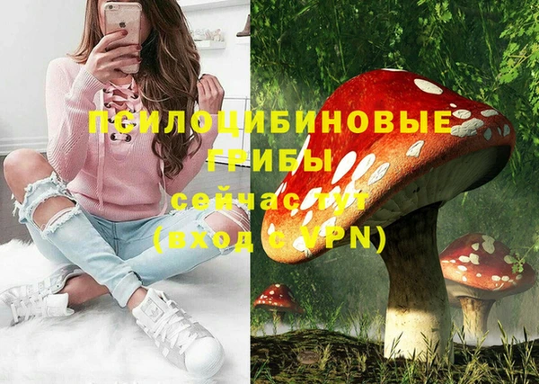 трава Богородицк