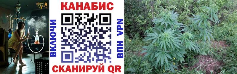 Конопля OG Kush  блэк спрут сайт  Гатчина 